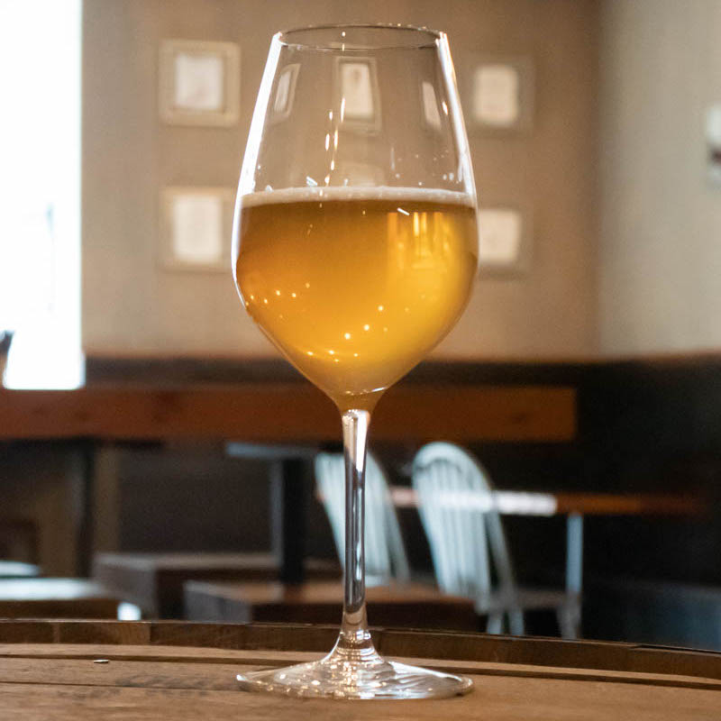 The Three Tenors Gin Barrel Aged Apricot Sour Collab w/ Brassneck and Odd Society