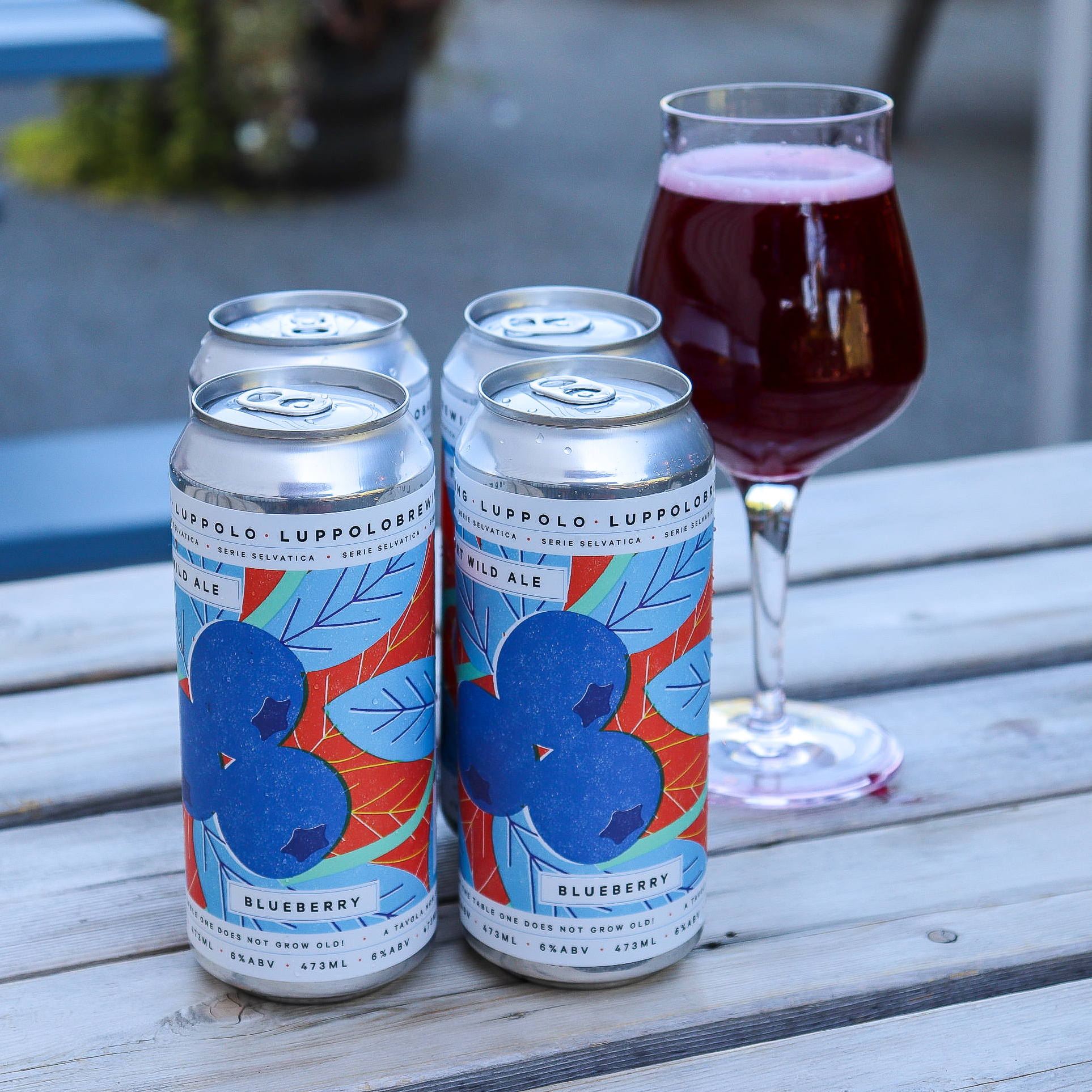 Tart Wild Ale with Blueberry
